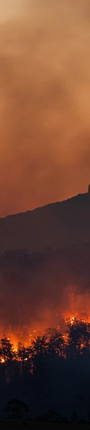 Innovating to tackle the climate emergency Innovation And Climate Change